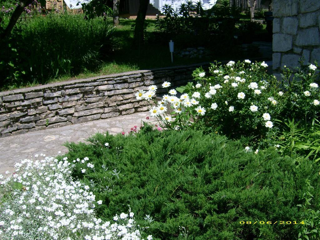 Vila Vuk Plitvička Jezera Zewnętrze zdjęcie